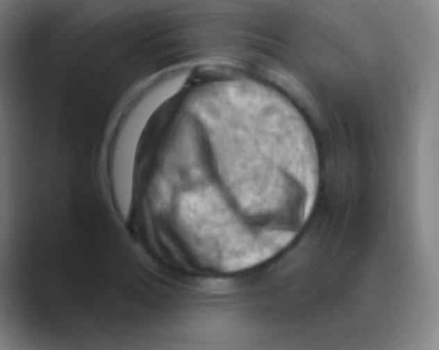 X0000088741180200706282138