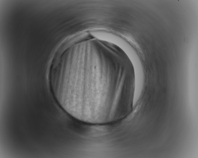 X0000088741181200706282138