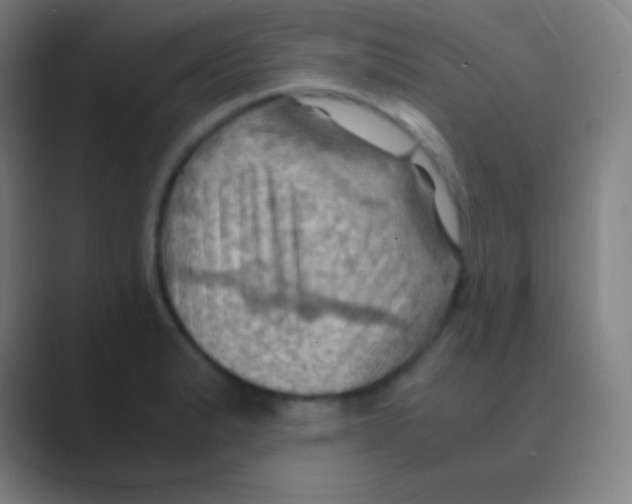 X0000088741183200706282138