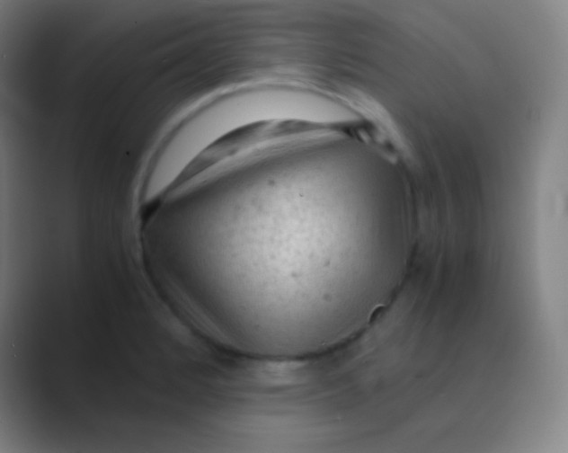 X0000088741184200706282138