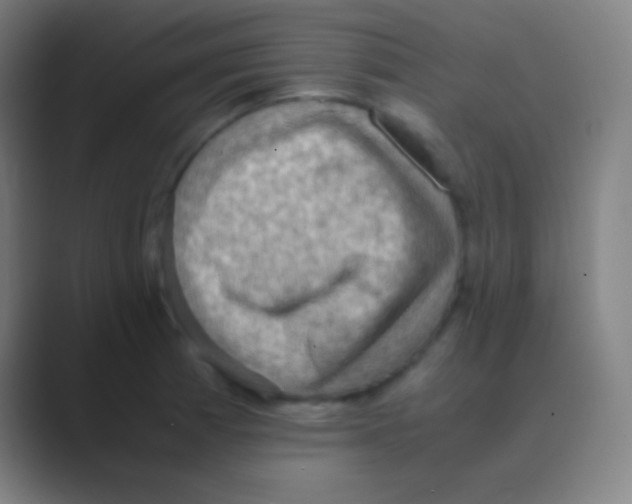 X0000088741185200706282138