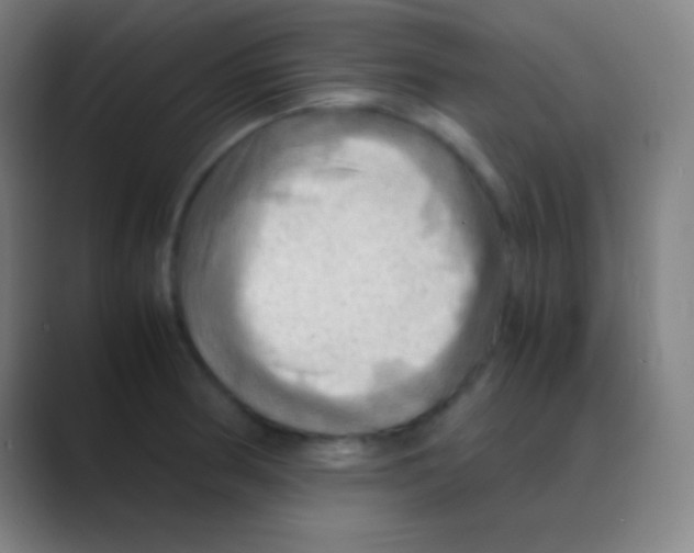 X0000088741186200706282138