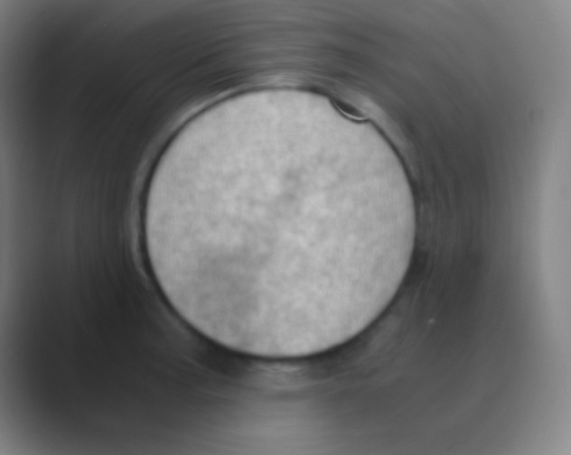 X0000088741187200706282138