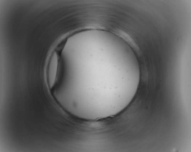 X0000088741188200706282138