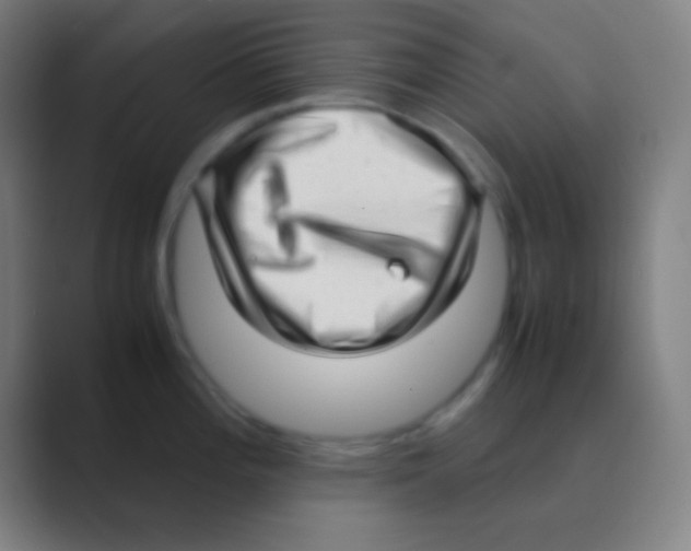 X0000088741196200706282138