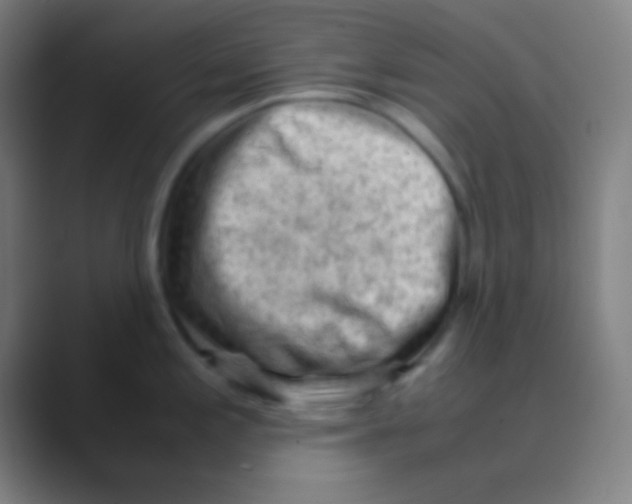 X0000088741197200706282138
