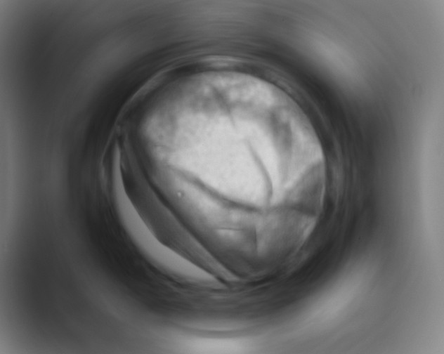 X0000088741198200706282138