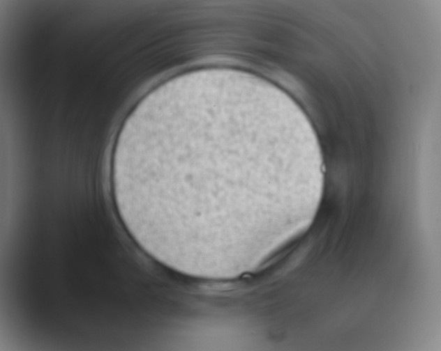 X0000088741199200706282138