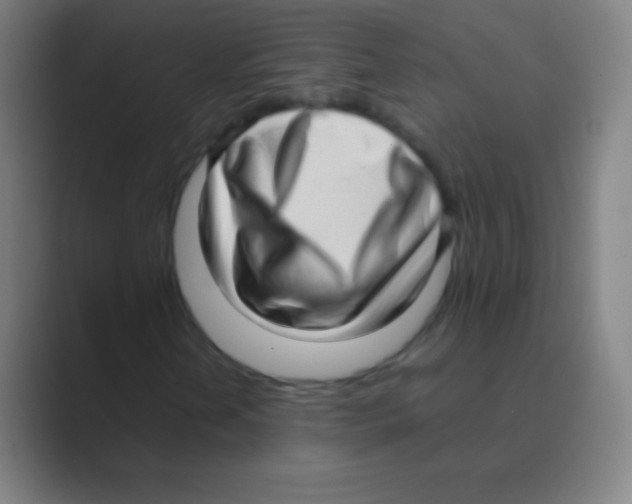 X0000088741202200706282137