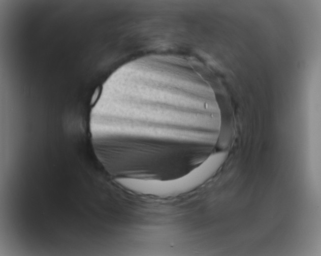 X0000088741206200706282137