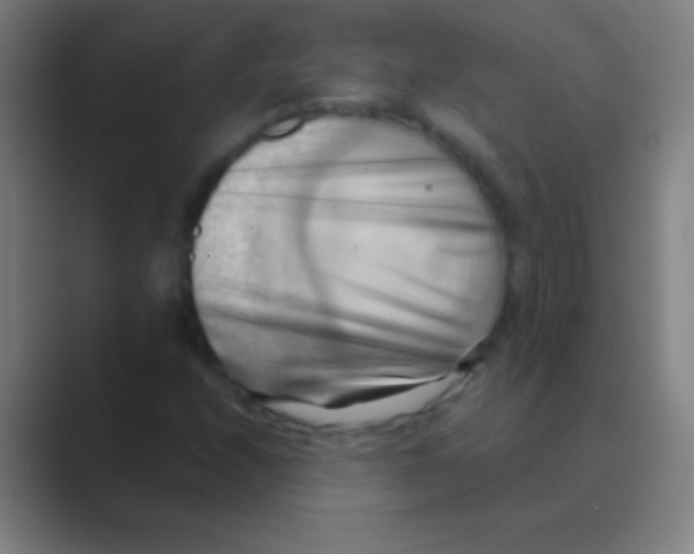 X0000088741208200706282137