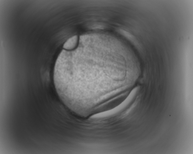X0000088741209200706282137