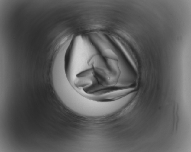 X0000088741210200706282137