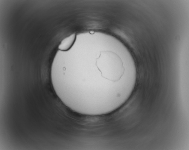 X0000088741211200706282137
