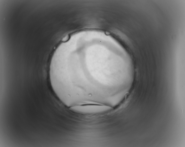 X0000088741212200706282137