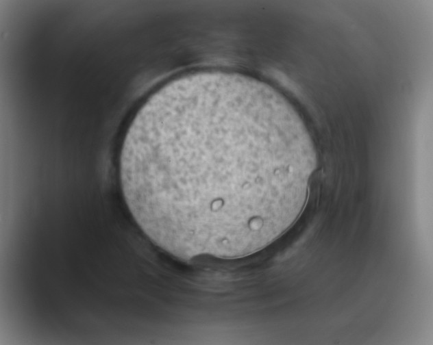 X0000088741215200706282137