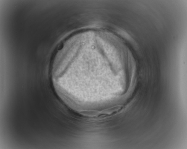 X0000088741216200706282137