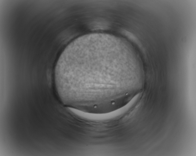 X0000088741217200706282137