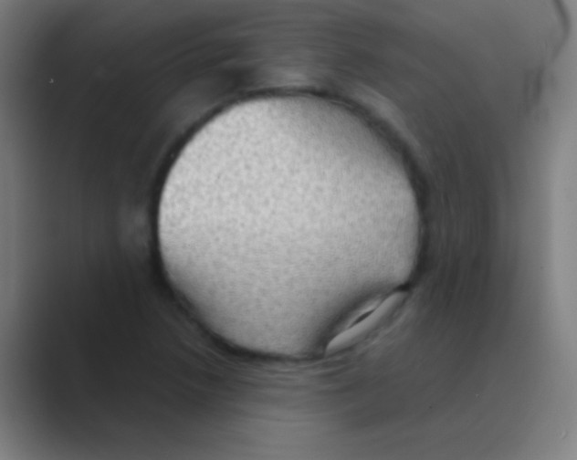 X0000088741218200706282137