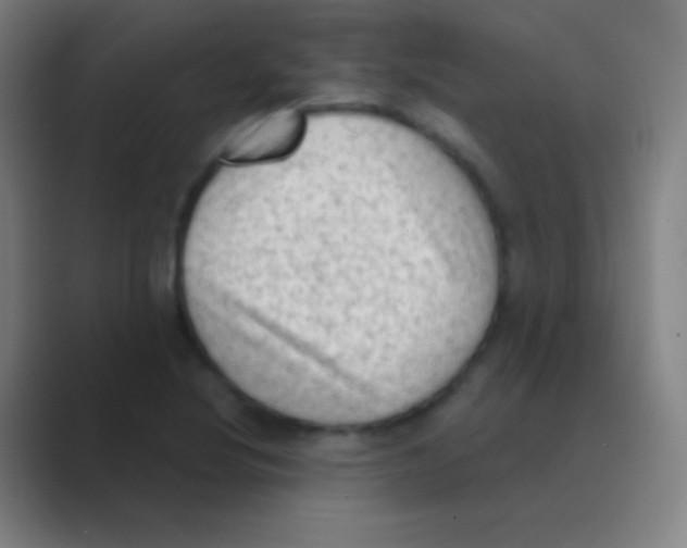 X0000088741220200706282137