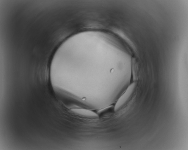 X0000088741221200706282137