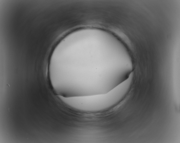 X0000088741224200706282137