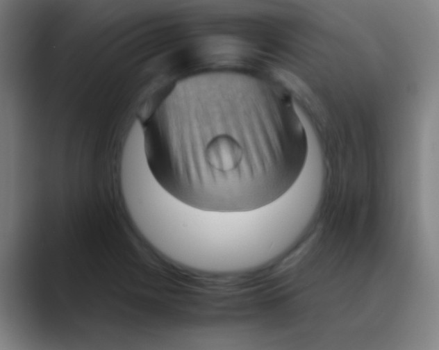 X0000088741225200706282137