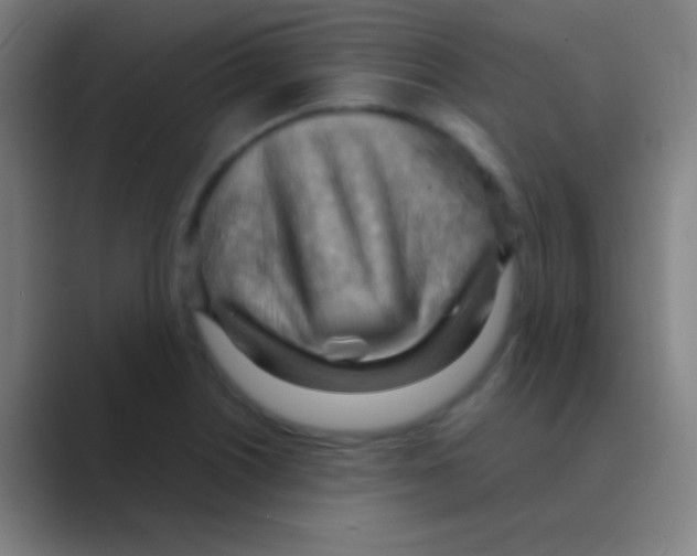X0000088741226200706282137