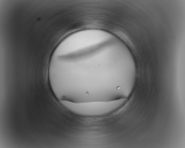 X0000088741228200706282137