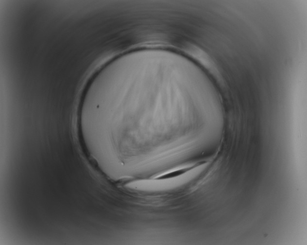 X0000088741229200706282137