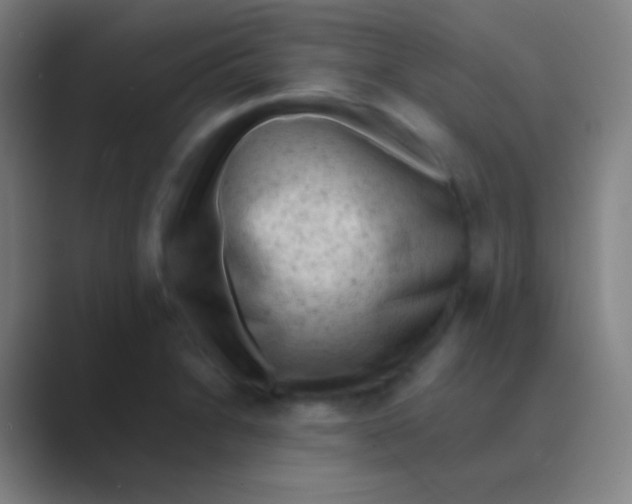 X0000088741230200706282137