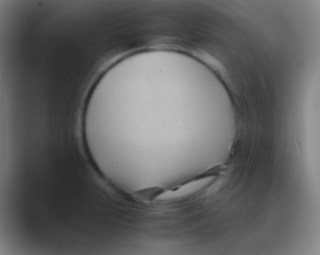 X0000088741231200706282137