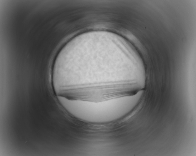 X0000088741232200706282137