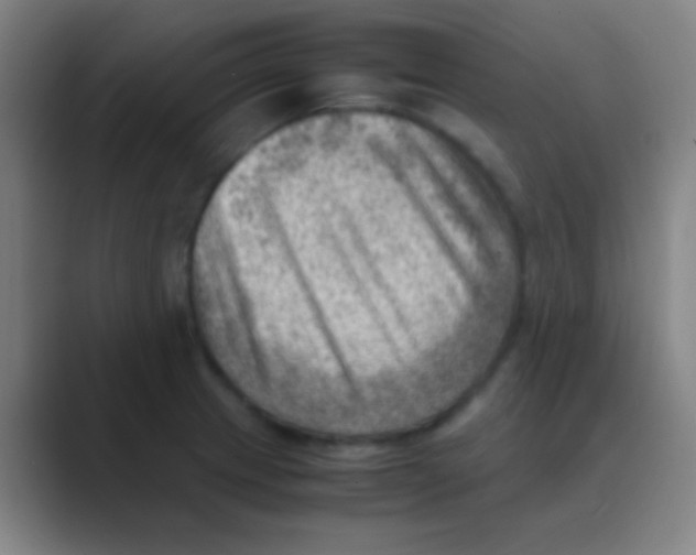 X0000088741233200706282137