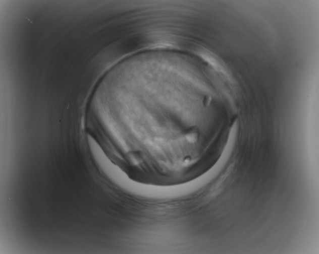 X0000088741234200706282137
