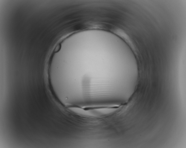 X0000088741235200706282137