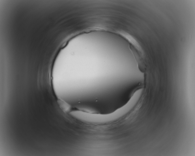 X0000088741238200706282137