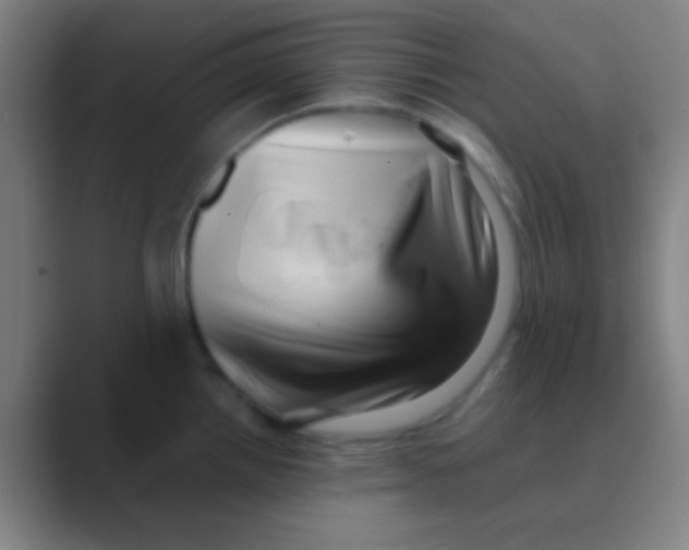 X0000088741242200706282138