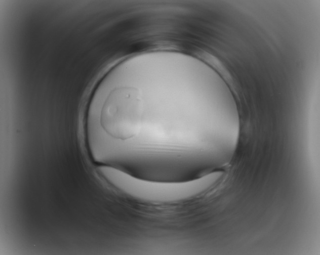 X0000088741243200706282138