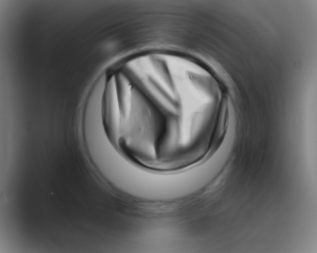 X0000088741246200706282138