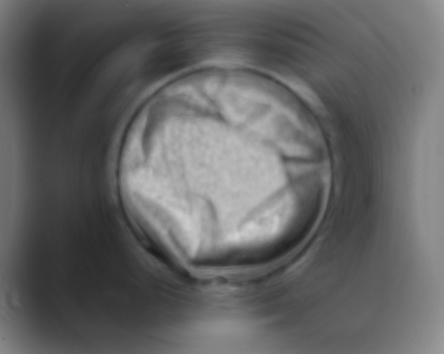 X0000088741248200706282138