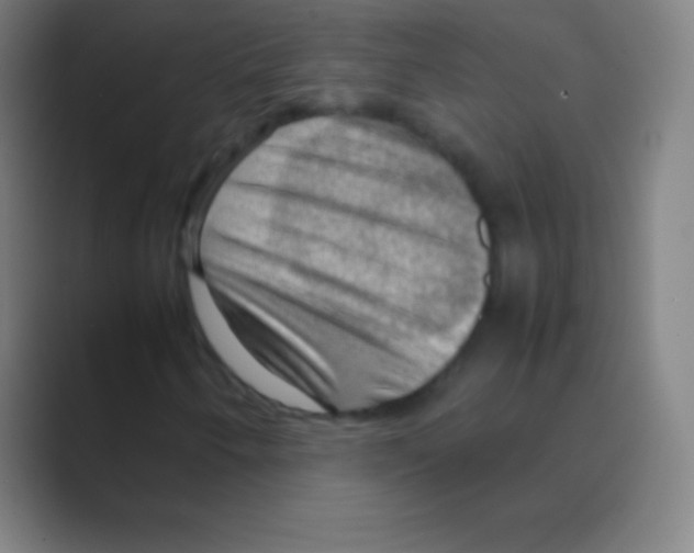 X0000088741250200706282137