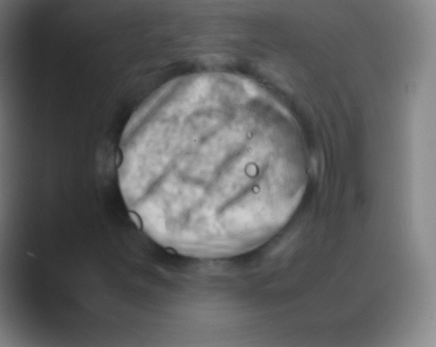 X0000088741251200706282137
