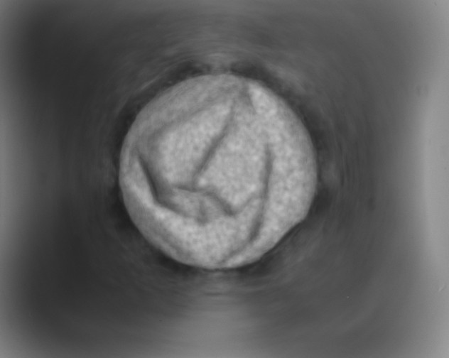 X0000088741253200706282137