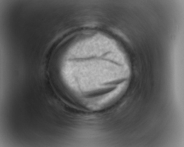X0000088741256200706282137