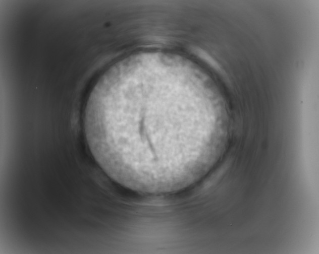 X0000088741259200706282137