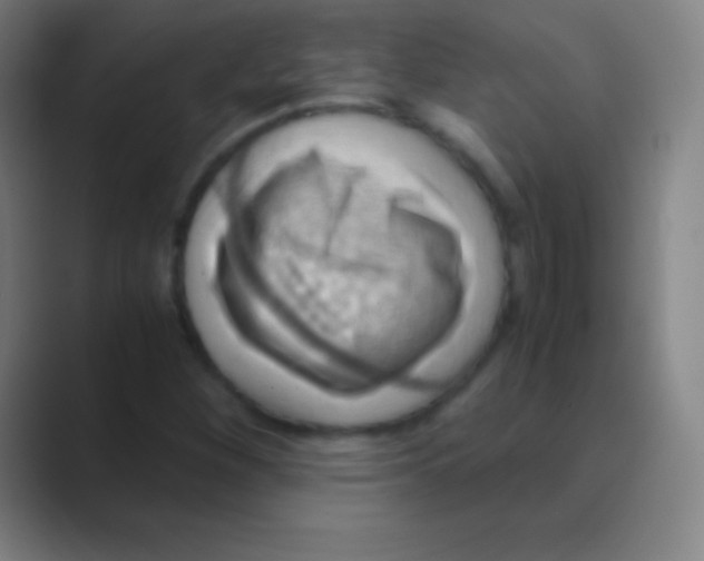 X0000088741260200706282137