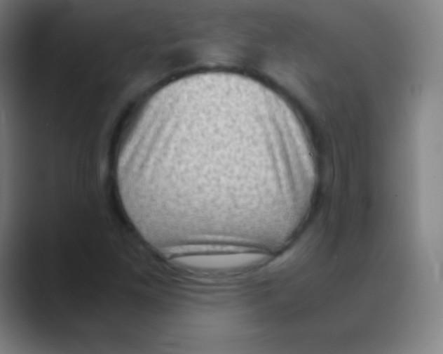 X0000088741261200706282137