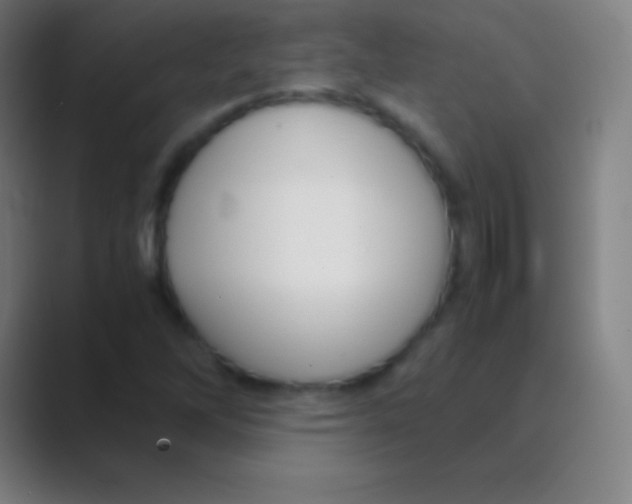 X0000088741262200706282137