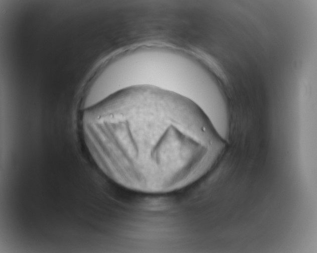 X0000088741264200706282137